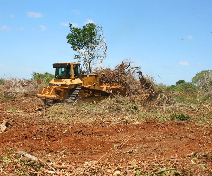 Clearing & Excavation